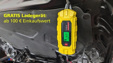 GRATISZUGABE ab 100 Euro: Batterieladeerhaltungsgerät zur Überwinterung
